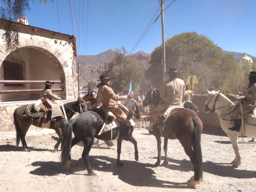 Tilcara Horses