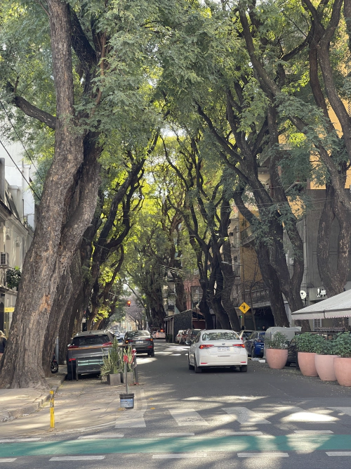 Stree Palermo