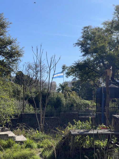 Flag from Zoo